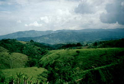 Colombia 98